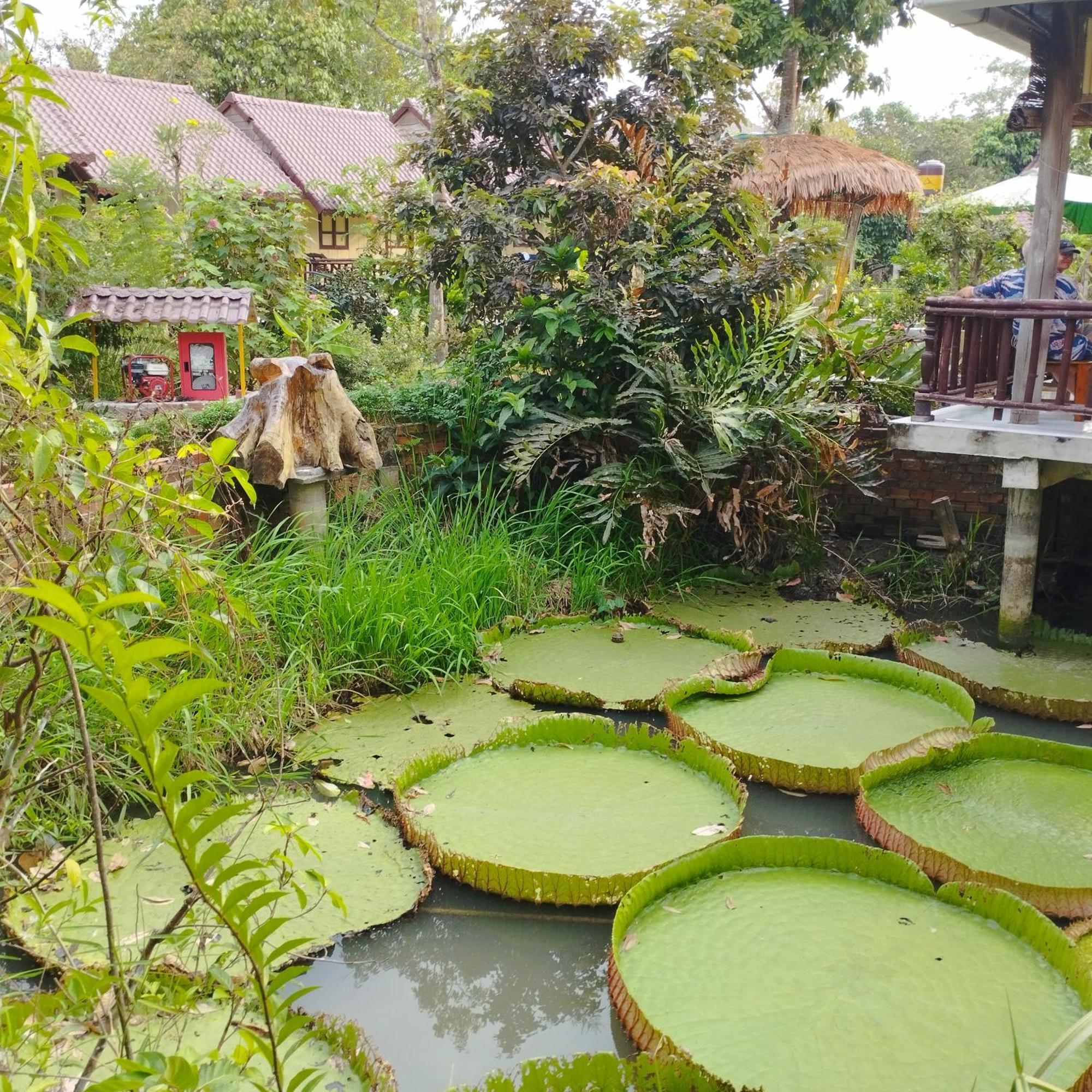 Brown House Resort Can Tho Exterior foto